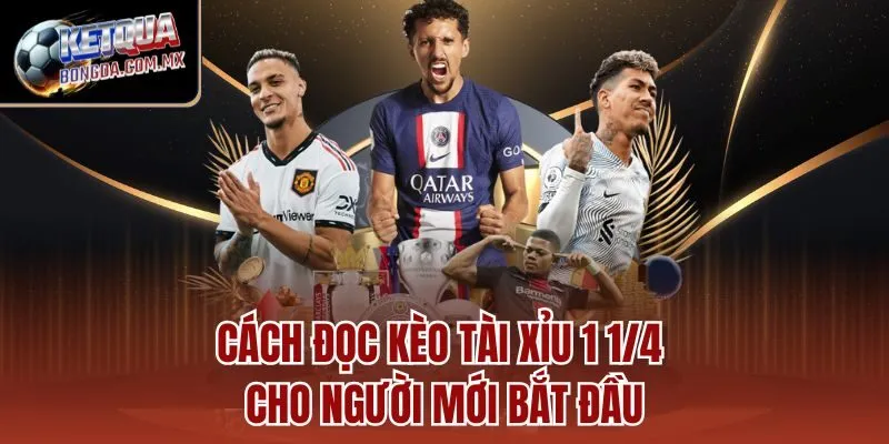 Cách đọc kèo Tài Xỉu 1 1/4 cho người mới bắt đầu